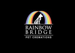 Rainbow bridge logo